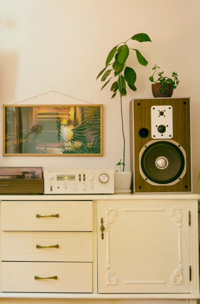 Retro home interior featuring vintage stereo, speakers, and houseplants for cozy atmosphere.