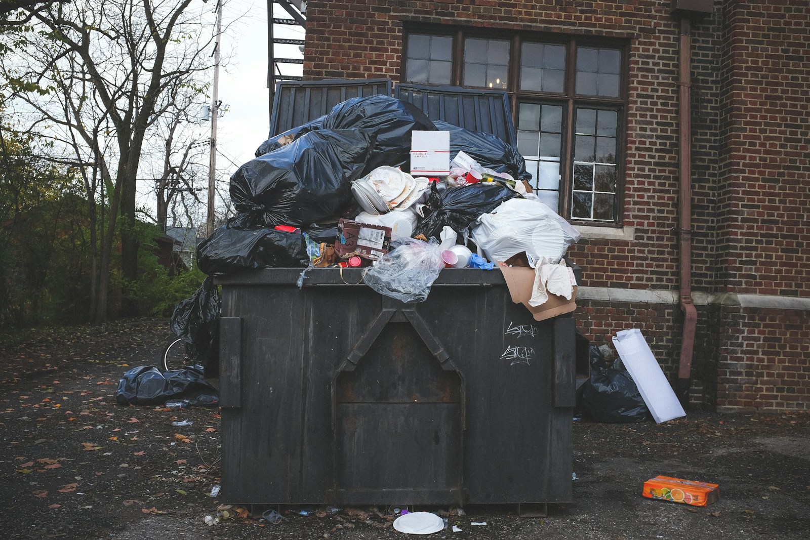 Everything to Know About Trash